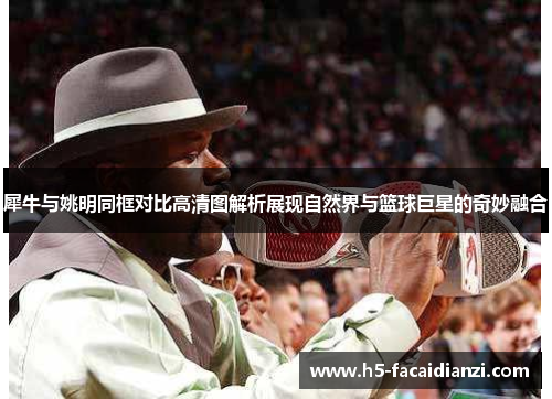 犀牛与姚明同框对比高清图解析展现自然界与篮球巨星的奇妙融合